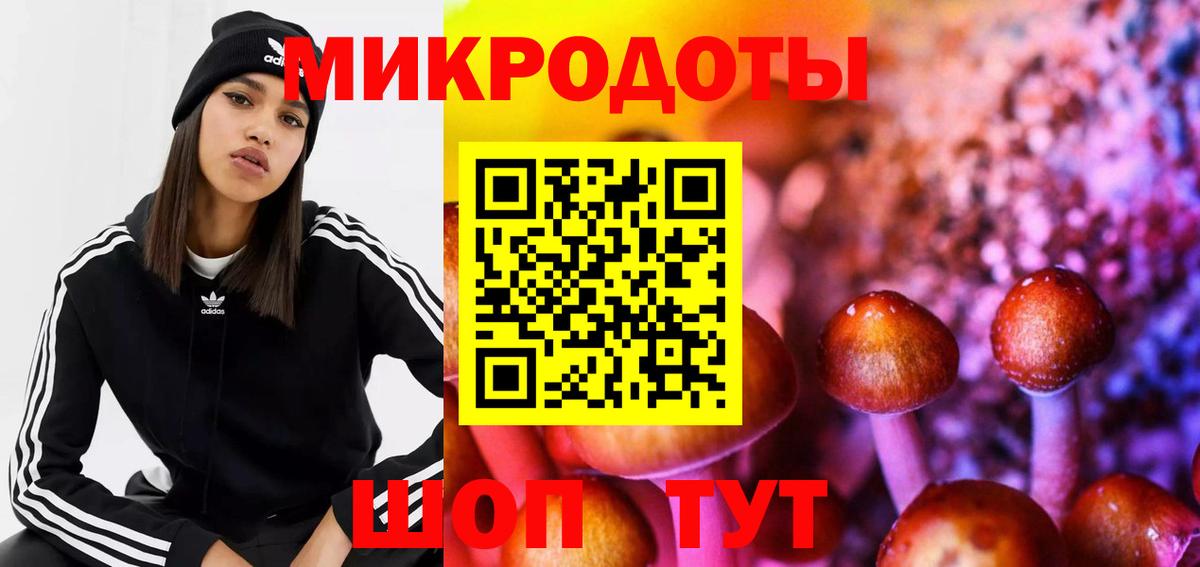 Псилоцибиновые грибы Psilocybine cubensis  Вход с VPN  Долгопрудный 